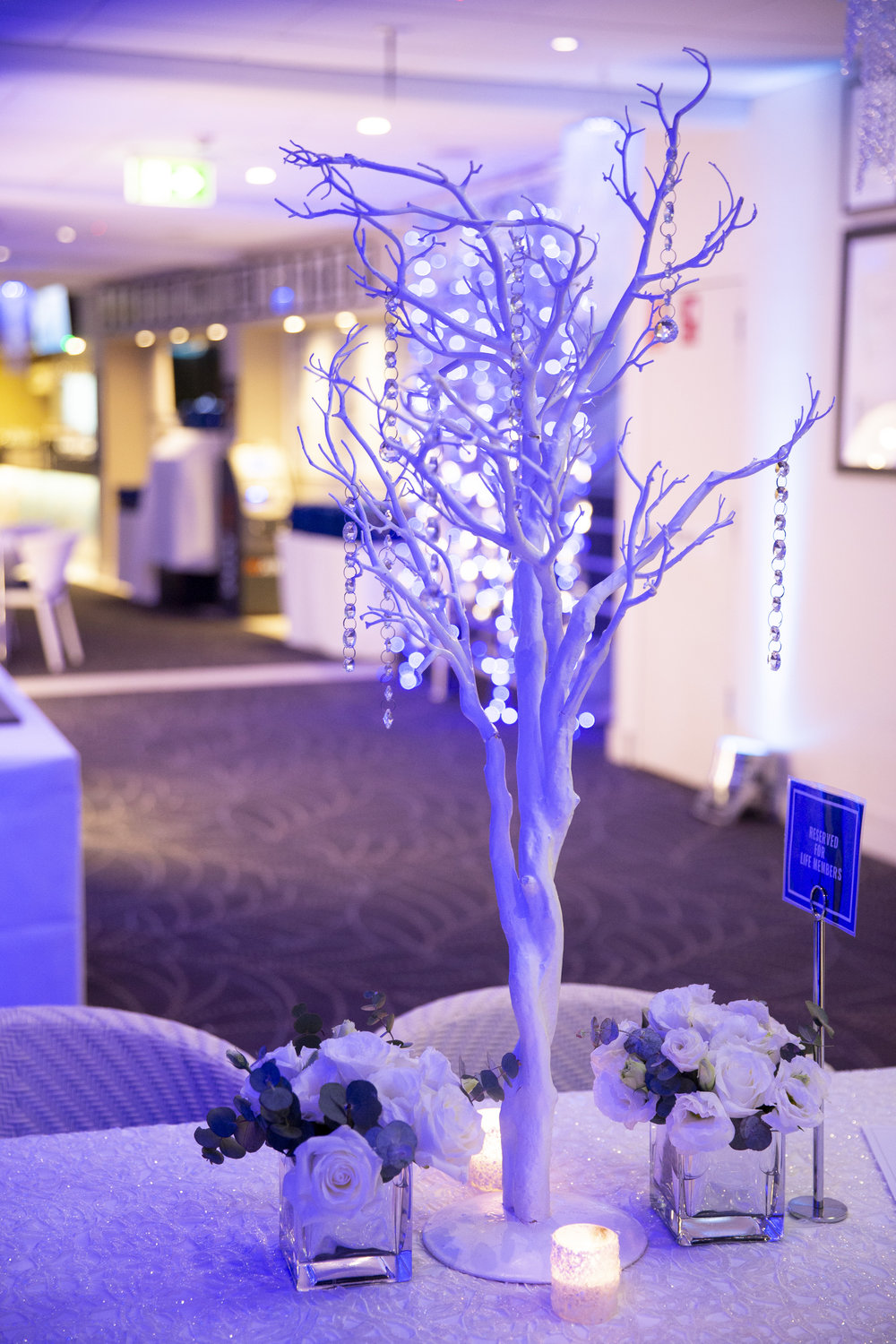 Icebergs90thBday_200719_YMund-325