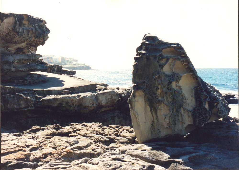 Sundays at The Bergs 1995