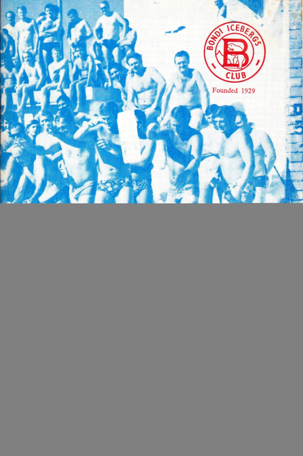 BIC Annual Report 1975