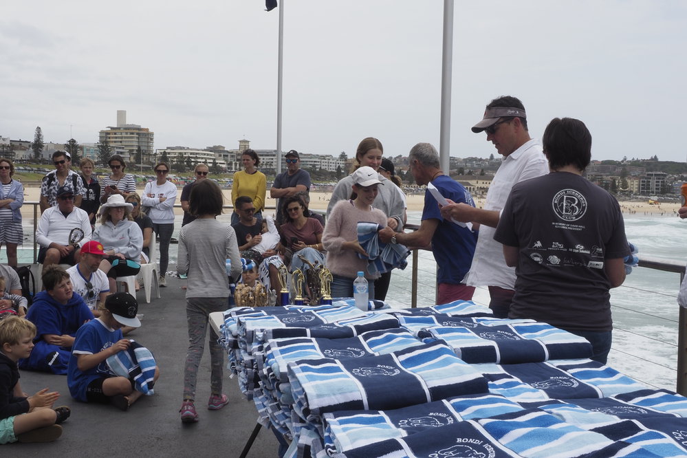 Icecubes Presentation Day 24.11.2019