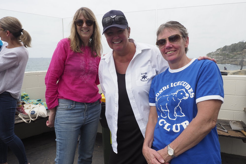 Icecubes Presentation Day 24.11.2019