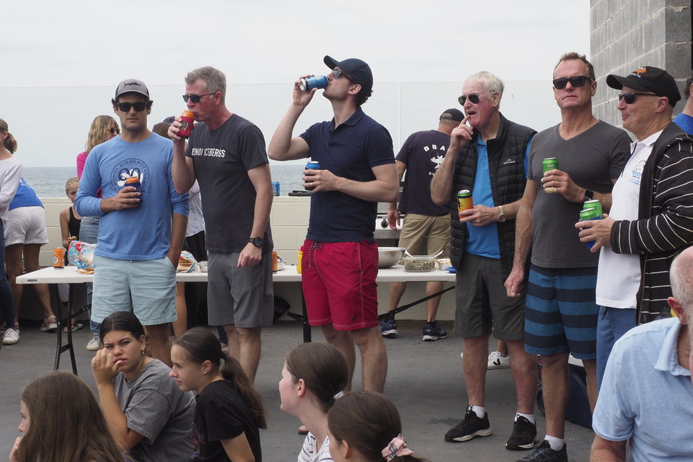 Icecubes Presentation Day 24.11.2019