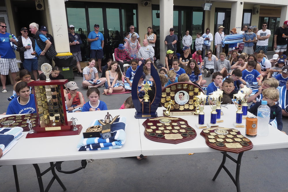 Icecubes Presentation Day 24.11.2019