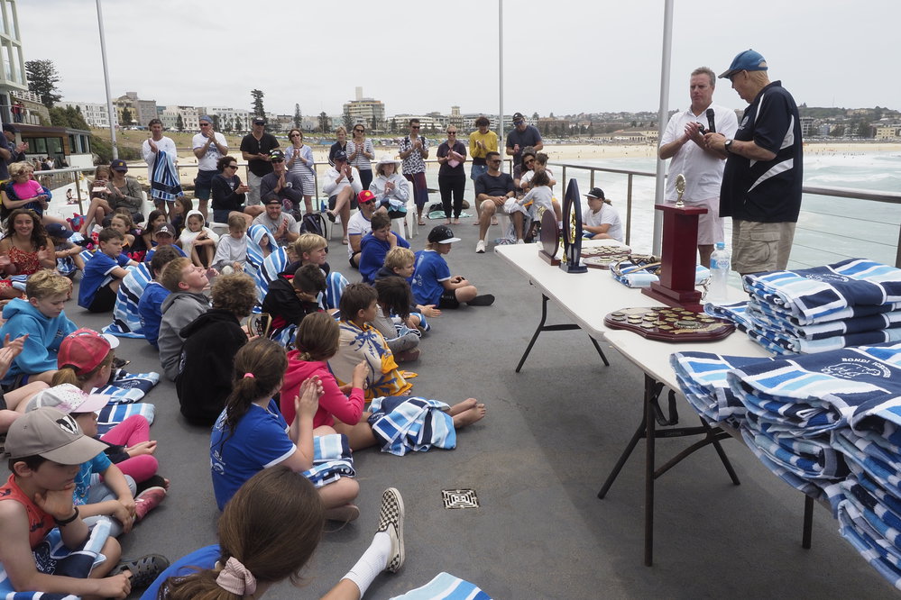 Icecubes Presentation Day 24.11.2019