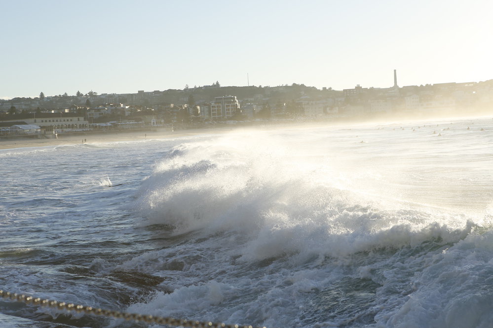 BIC_Deck Day_25.06.2017-20