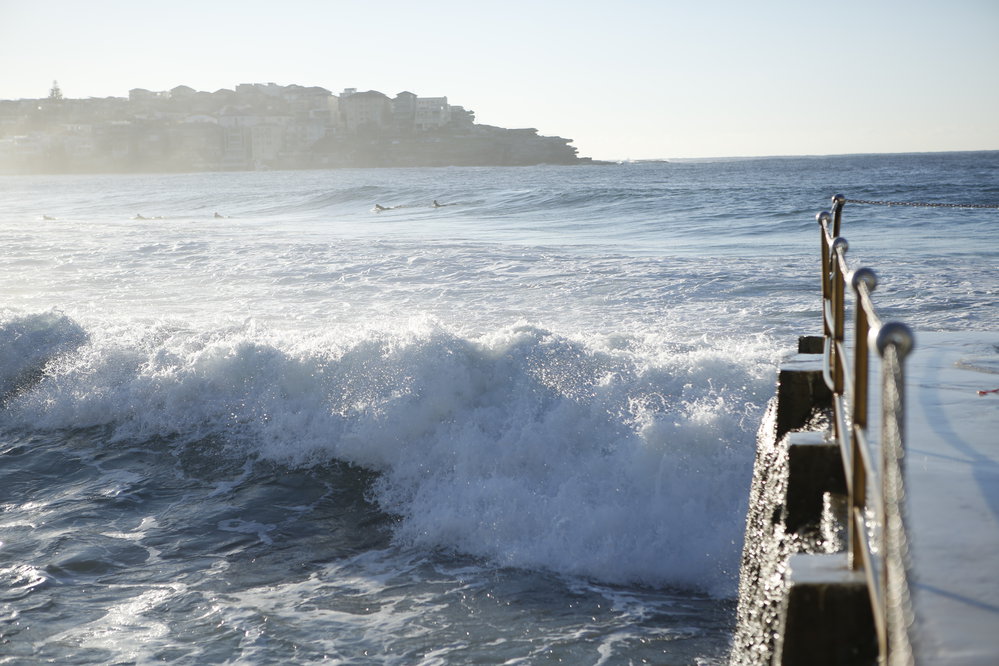 BIC_Deck Day_25.06.2017-63