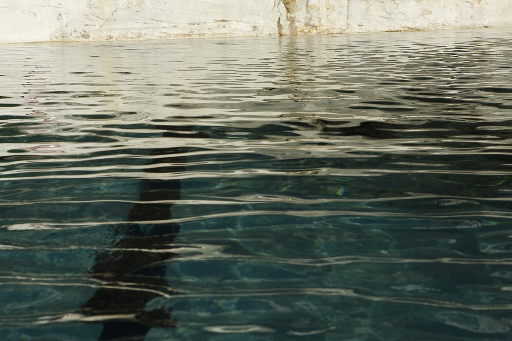 BIC_Deck Day_25.06.2017-81