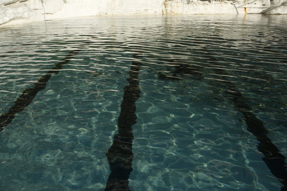 BIC_Deck Day_25.06.2017-82