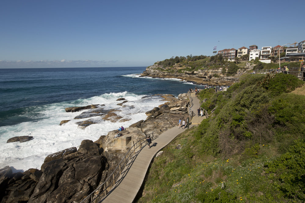 City to Surf day CF