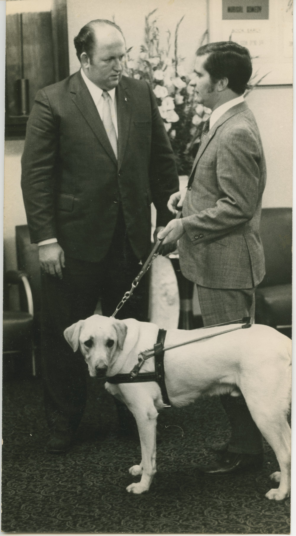 Sanned Archived Images