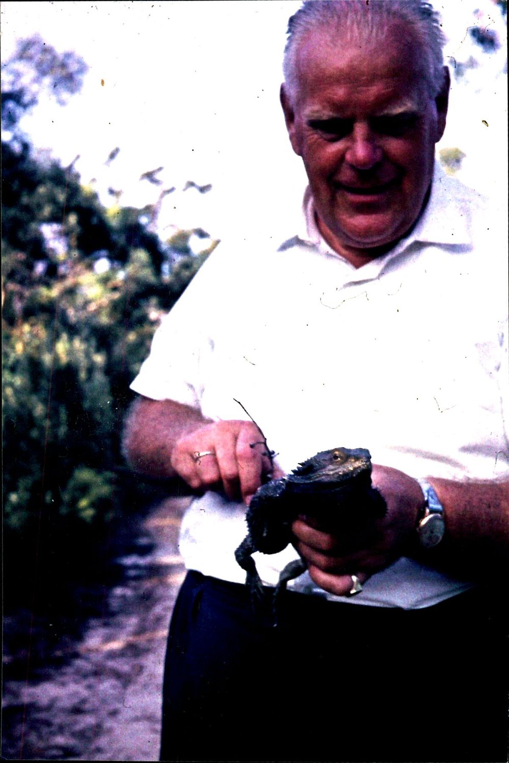 Bill Sellen