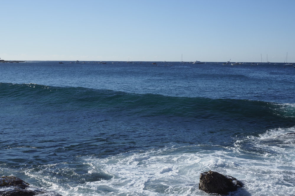 Icecubes Open Day 20.05.2018