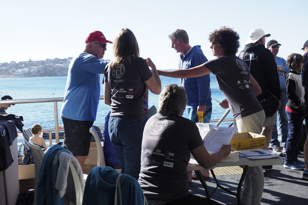 Icecubes Open Day 20.05.2018