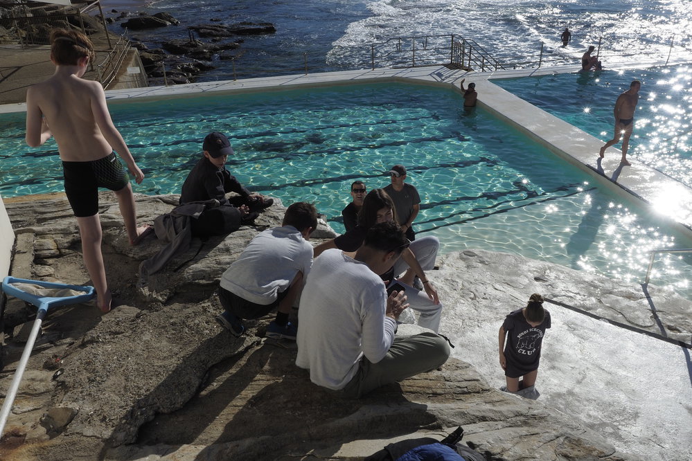 Icecubes Open Day 20.05.2018