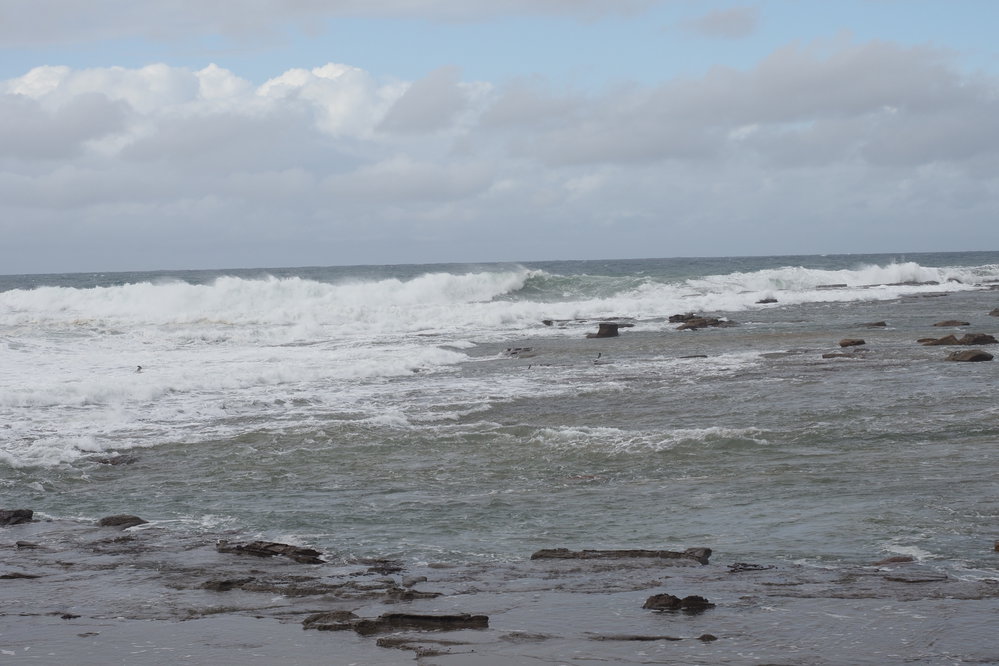 Ladies away swim 03.06.2018