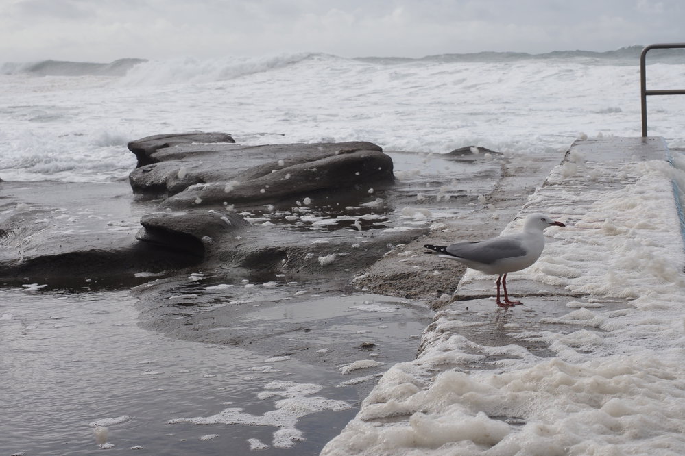 Ladies away swim 03.06.2018