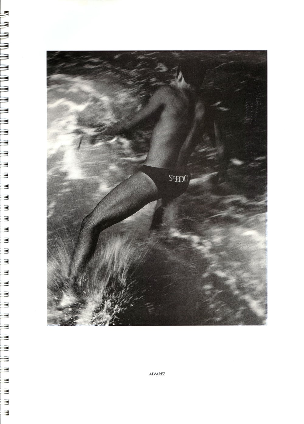 BIC Brett M Cochrane "Icebergs"