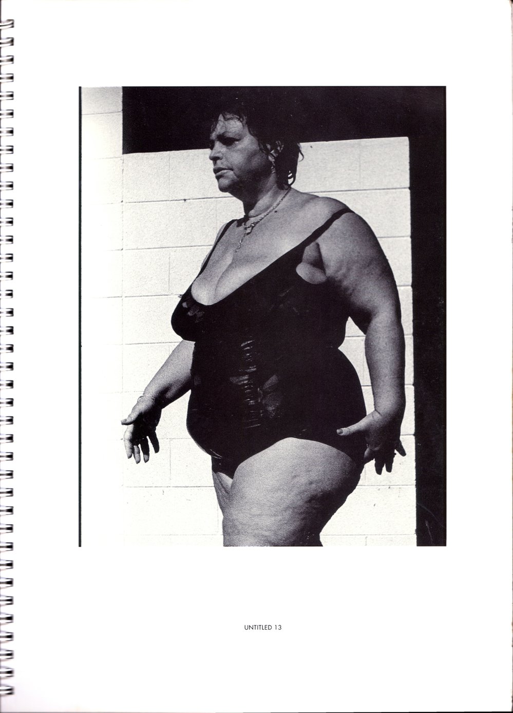 BIC Brett M Cochrane "Icebergs"