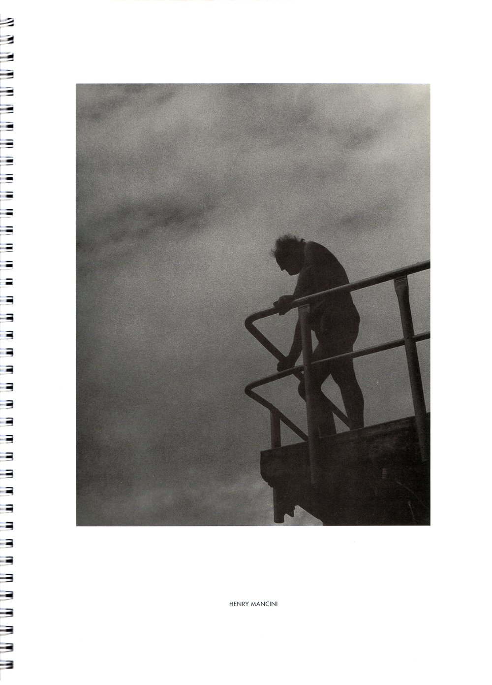 BIC Brett M Cochrane "Icebergs"