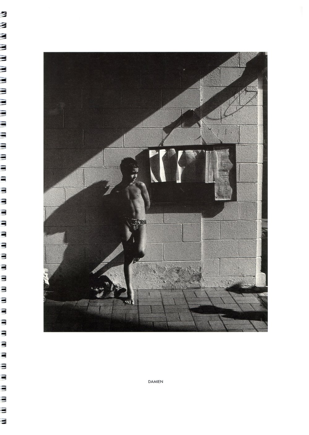 BIC Brett M Cochrane "Icebergs"