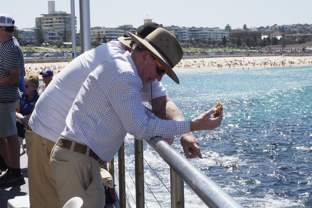 National Titles Dash For Cash 15.09.2018