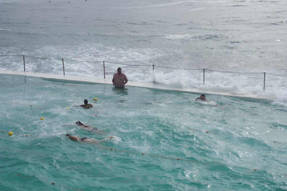 BIC Captains Day 25.11.2018