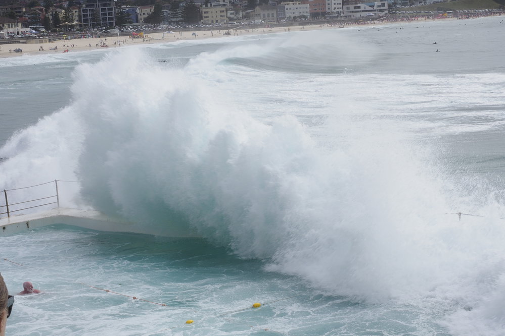 BIC Captains Day 25.11.2018