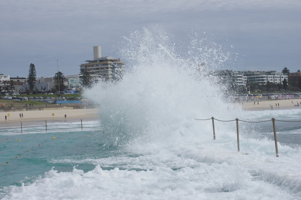 BIC Captains Day 25.11.2018