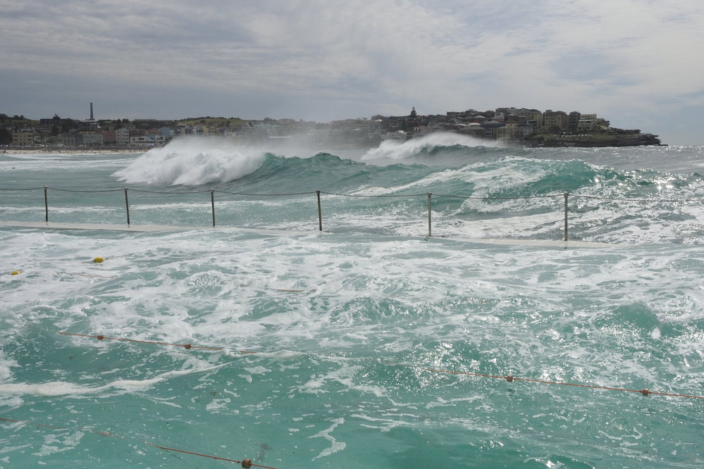 BIC Captains Day 25.11.2018