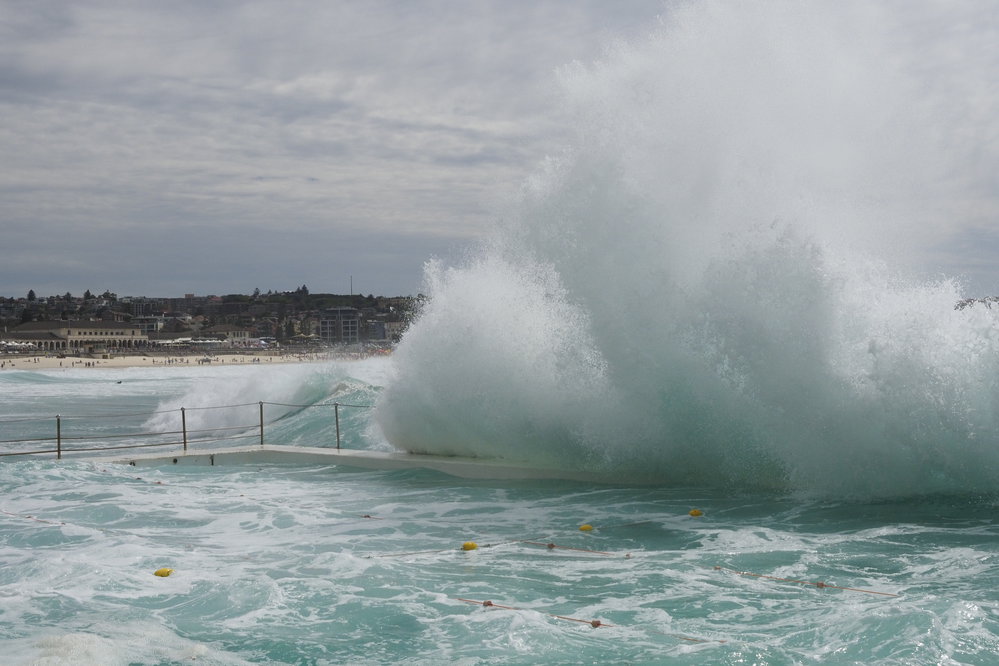 BIC Captains Day 25.11.2018