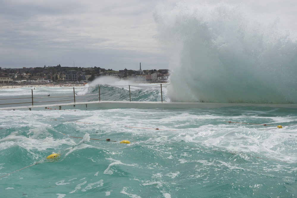 BIC Captains Day 25.11.2018