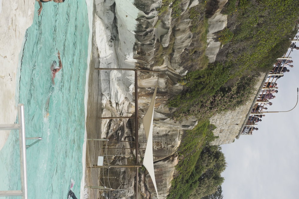 BIC Captains Day 25.11.2018