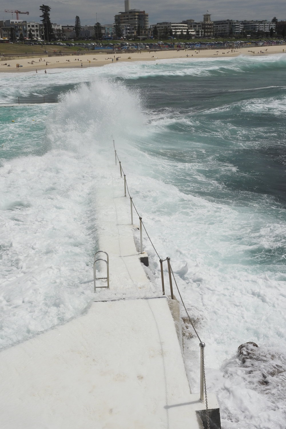 BIC Captains Day 25.11.2018