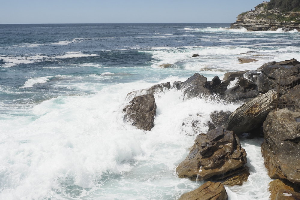 BIC Captains Day 25.11.2018