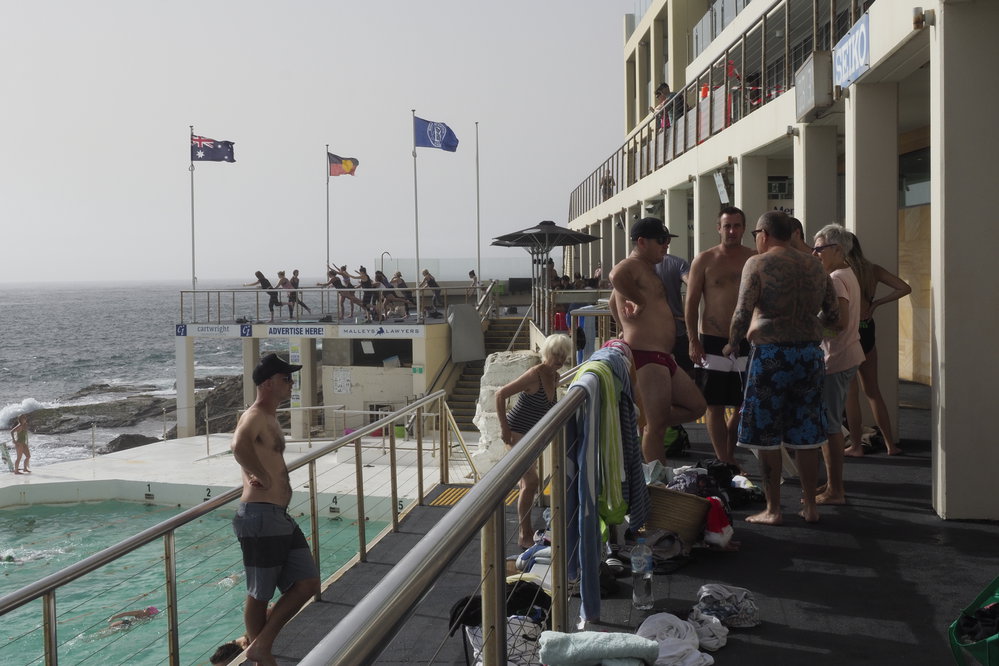 BIC Chicken Swim 16.11.2018