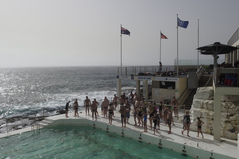 BIC Chicken Swim 16.11.2018