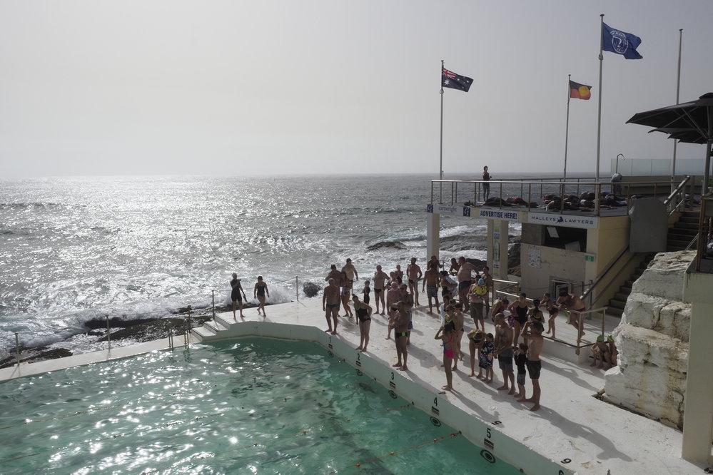 BIC Chicken Swim 16.11.2018