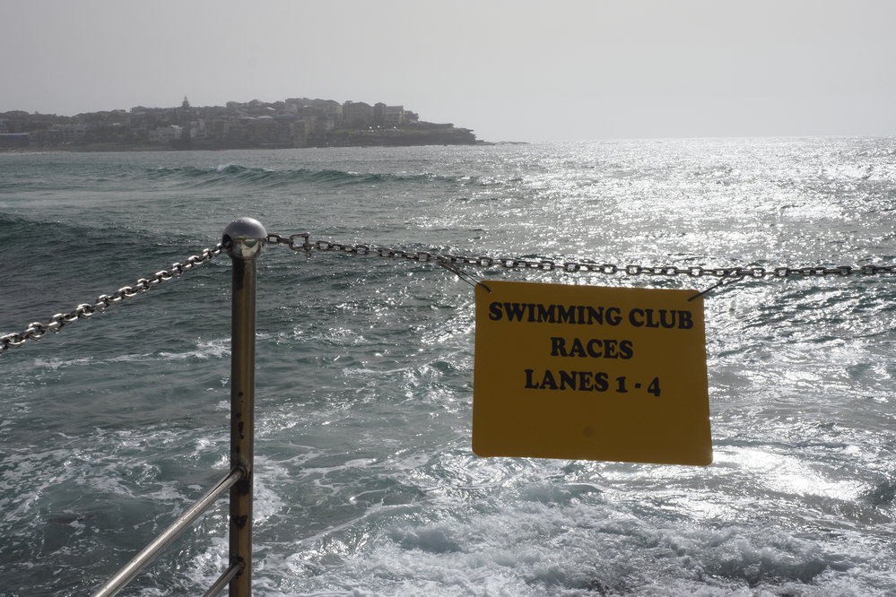 BIC Chicken Swim 16.11.2018