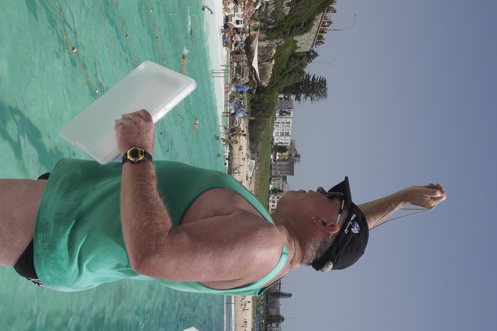 BIC Chicken Swim 16.11.2018