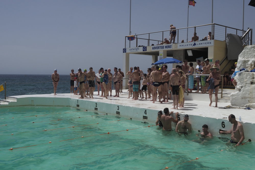 BIC Chicken Swim 16.11.2018