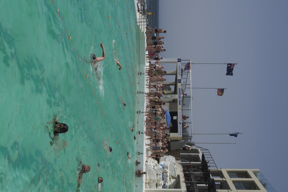 BIC Chicken Swim 16.11.2018