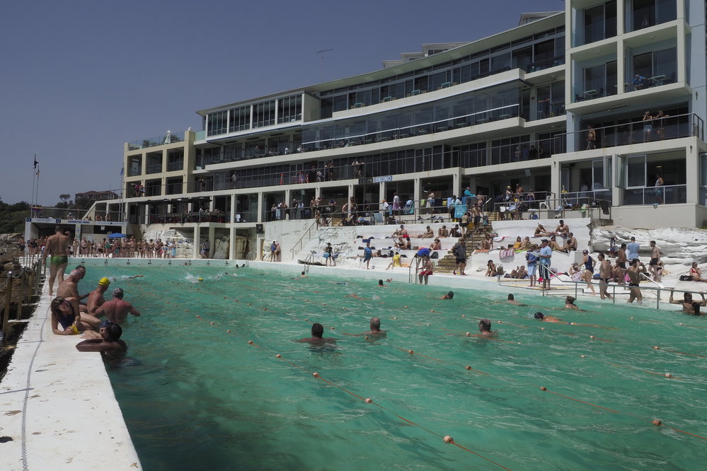 BIC Chicken Swim 16.11.2018