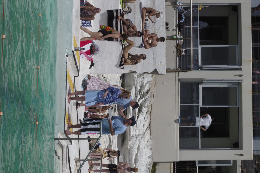 BIC Chicken Swim 16.11.2018