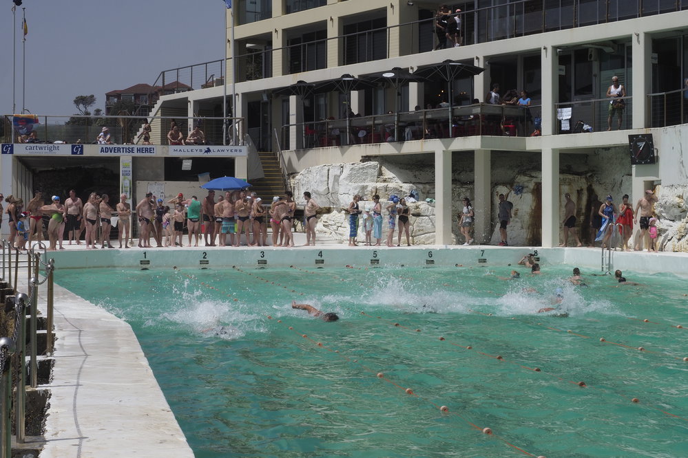 BIC Chicken Swim 16.11.2018