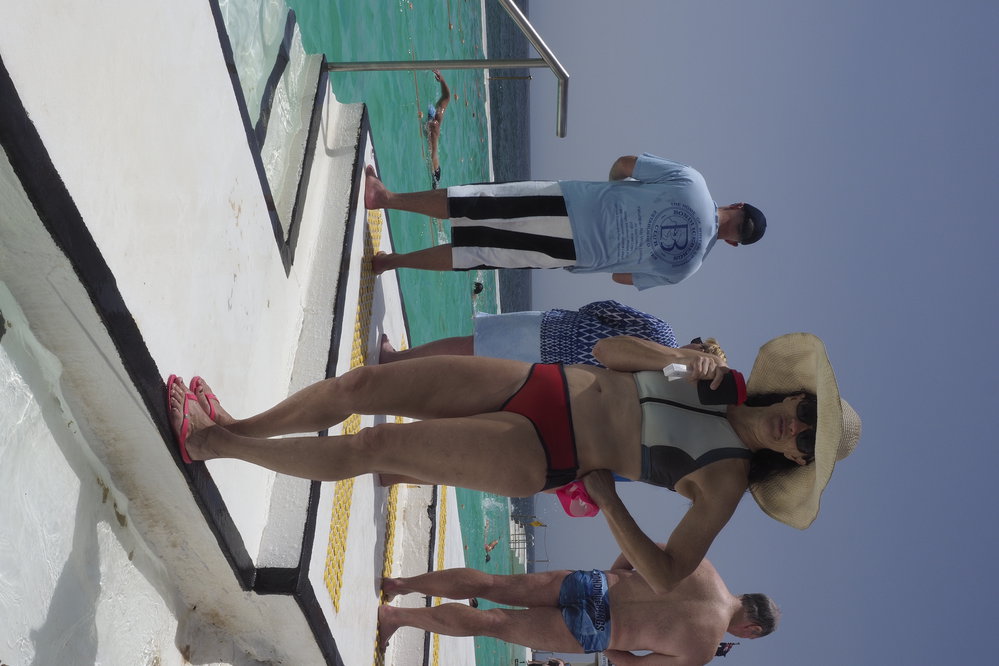 BIC Chicken Swim 16.11.2018