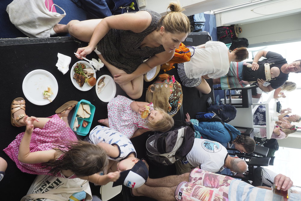 BIC Chicken Swim 16.11.2018