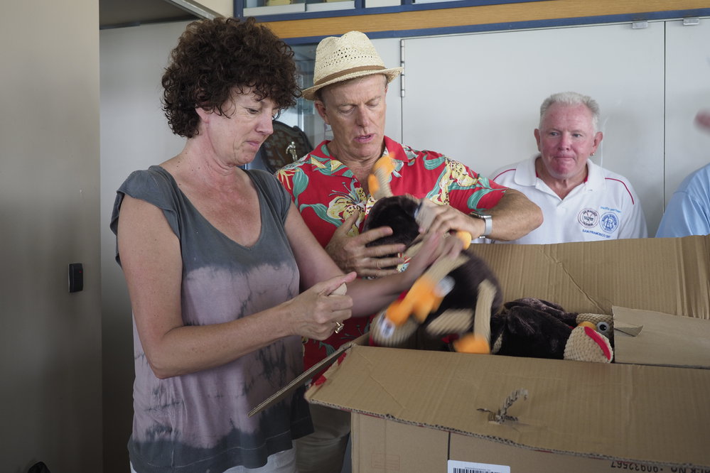 BIC Chicken Swim 16.11.2018