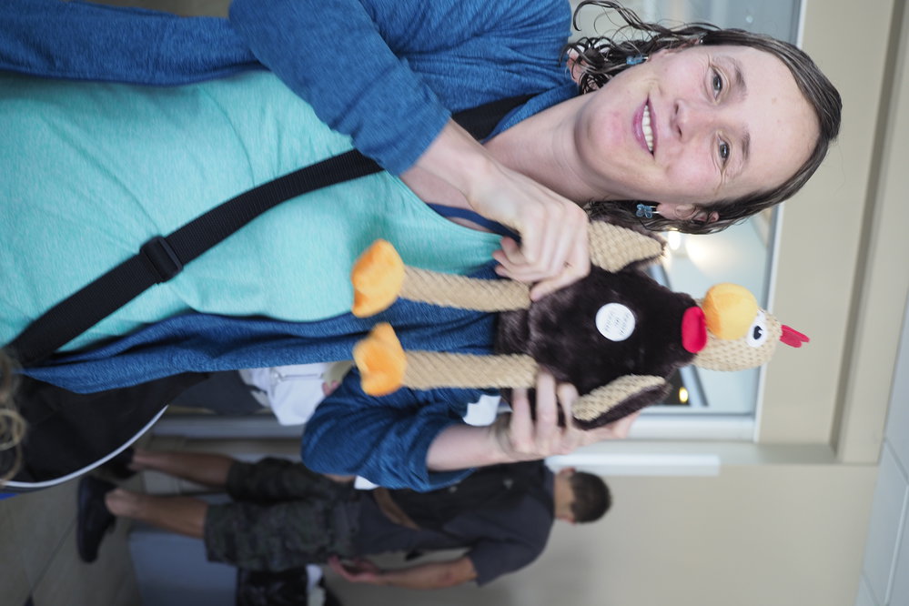 BIC Chicken Swim 16.11.2018