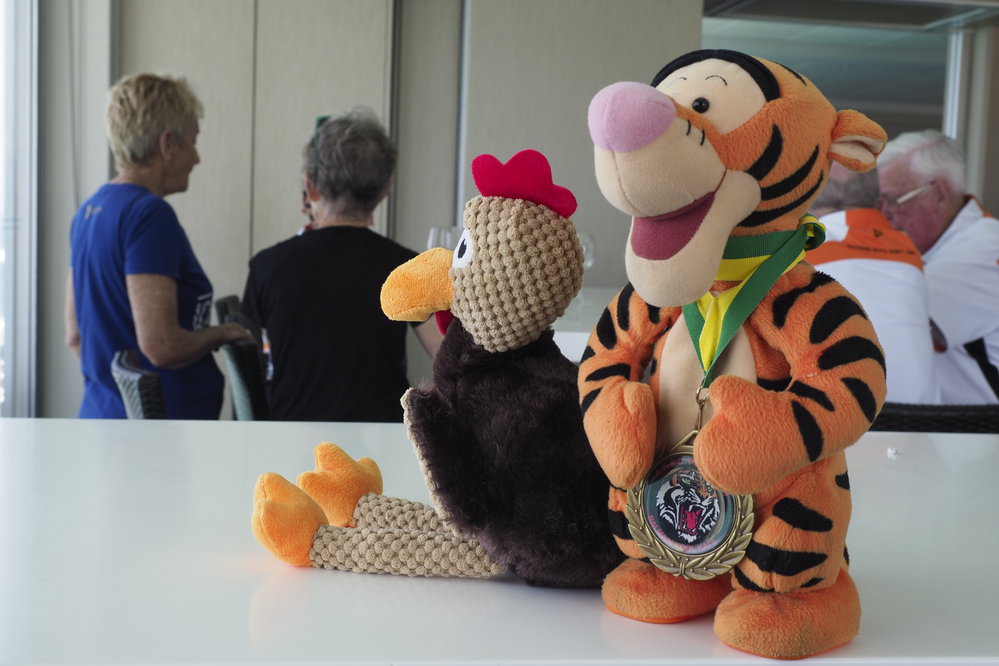 BIC Chicken Swim 16.11.2018