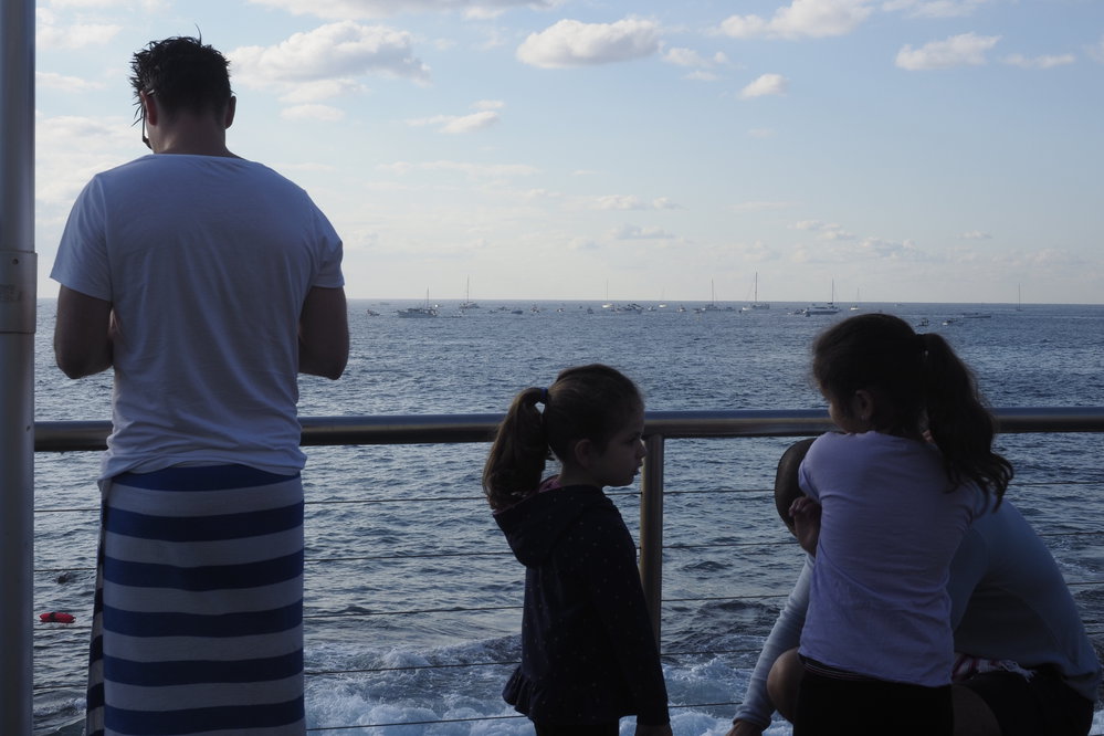 Icecubes Opening Day 2019